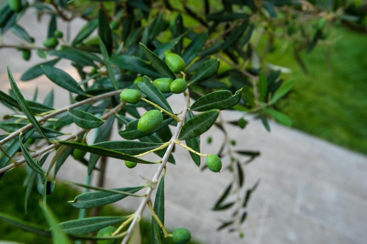 Olive 303 Apartment Peraia  Luaran gambar